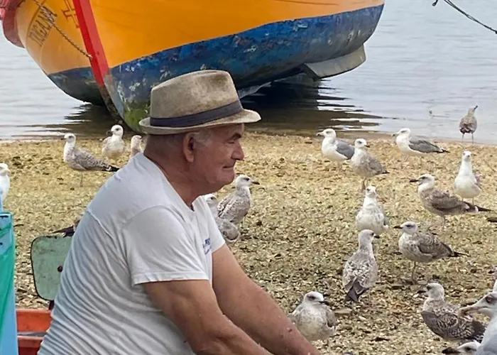 Le Paradis D'alvor Lägenhet *