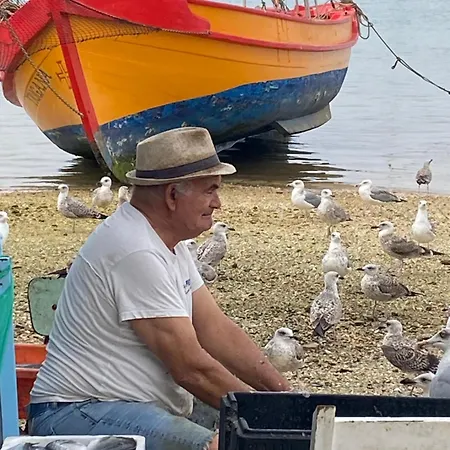 Le Paradis D'alvor アパート *